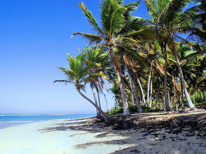Beach in Punta Cana for a destination guide