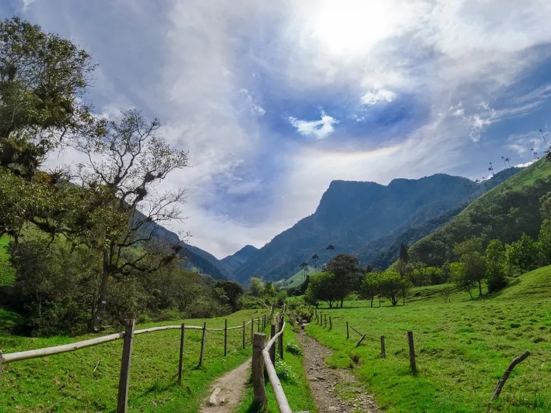 Colombia Cocora for a destination guide