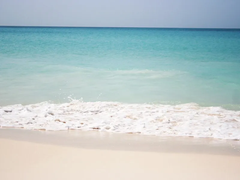 Eagle Beach in Aruba for a safari experience