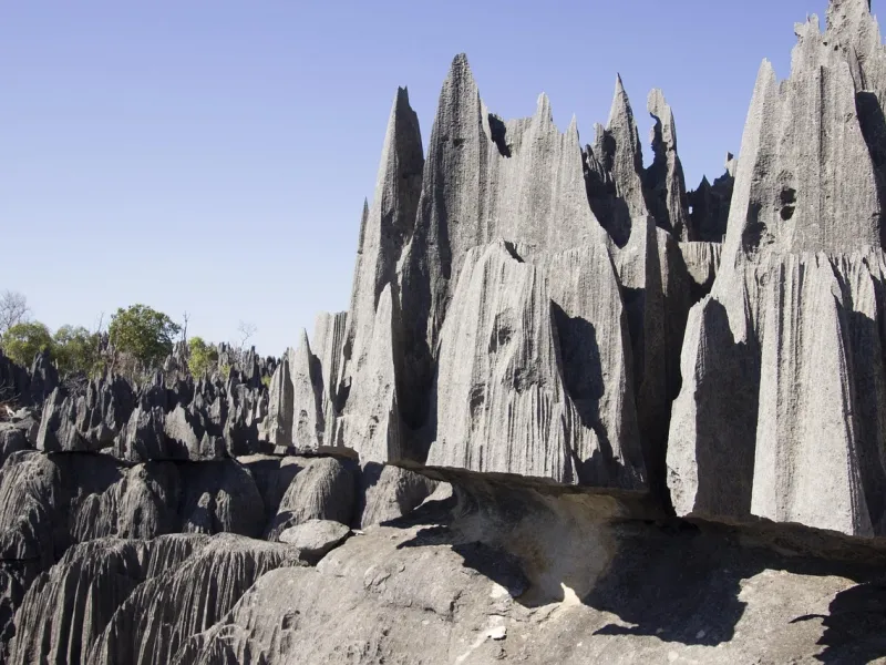 Jagged limestone formations at Tsingy de Bemaraha National Park for a destination guide