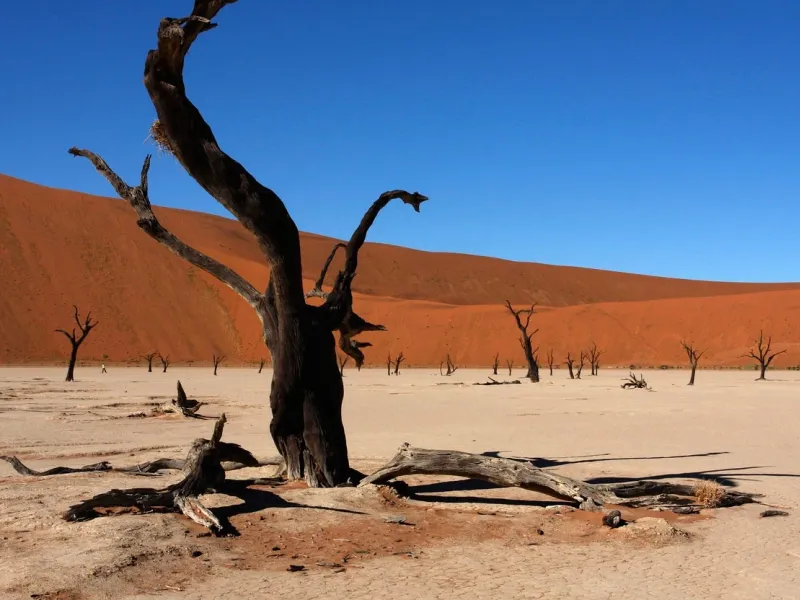 A landscape photo of Deadvlei in Namibia for a destination guide