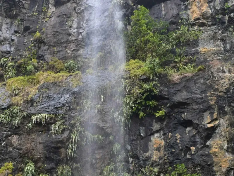 Mare aux Joncs Waterfall in Mauritius for a destination guide