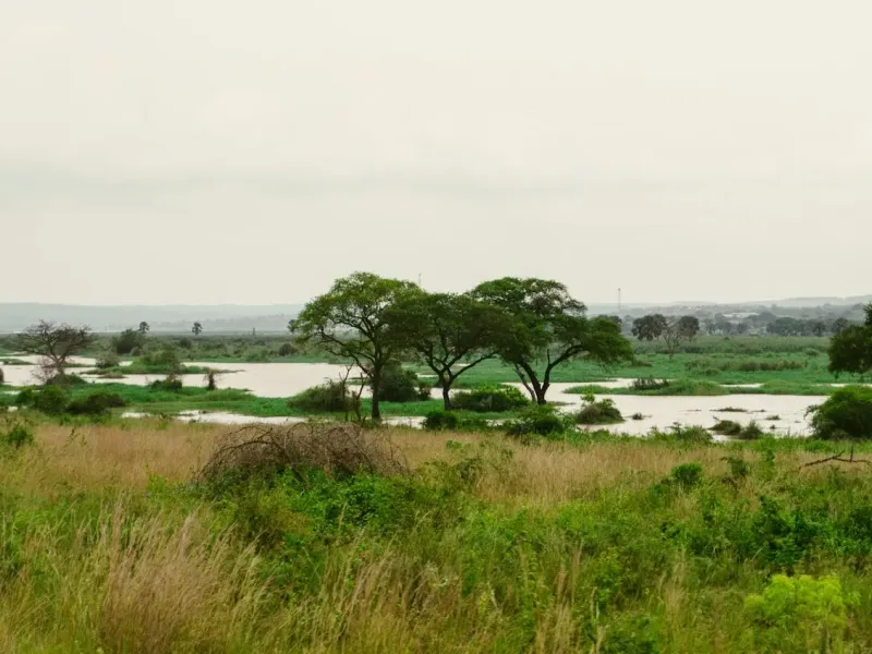 Murchison Falls National Park in Uganda for a destination guide