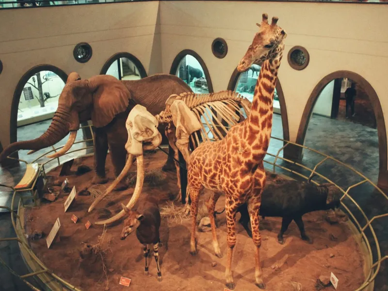 Museum Kenya for a destination guide