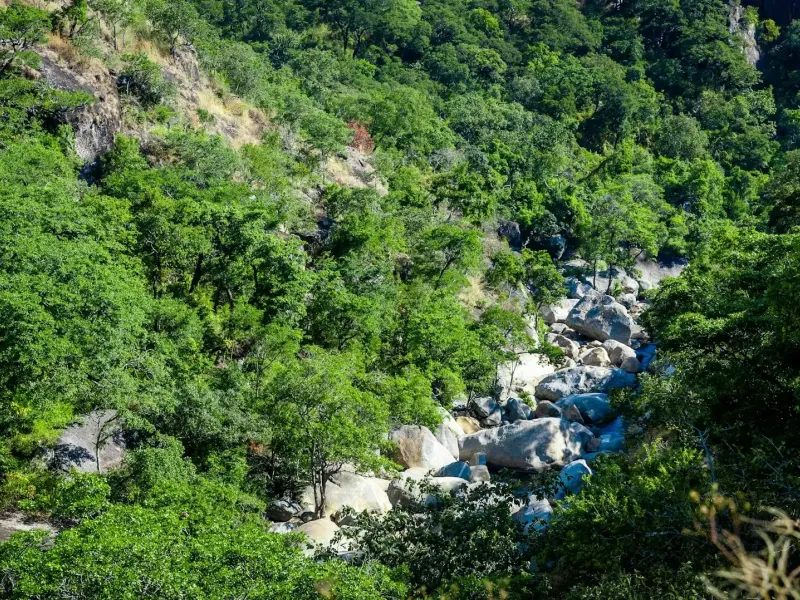 Nyika National Park for a destination guide