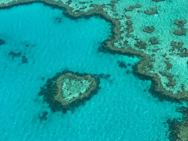 Reef for a destination guide
