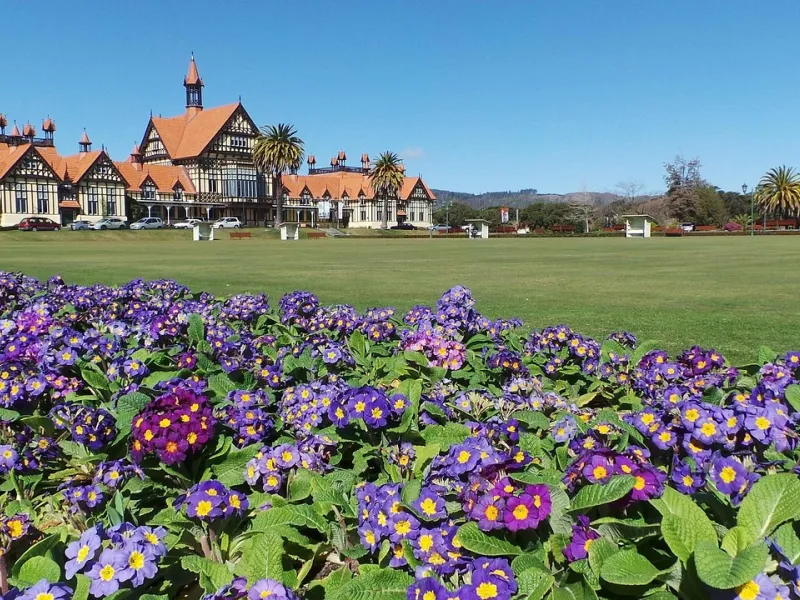 Rotorua for a destination guide