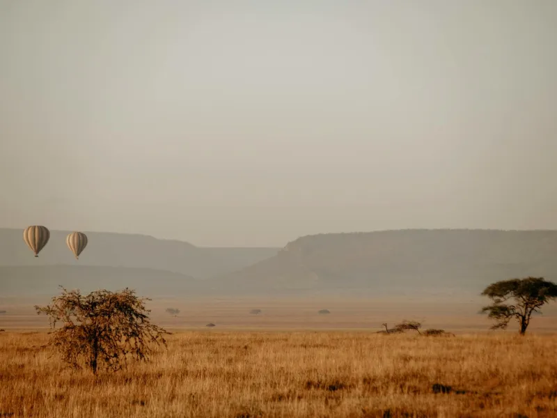 Serengeti Tanzania for a destination guide