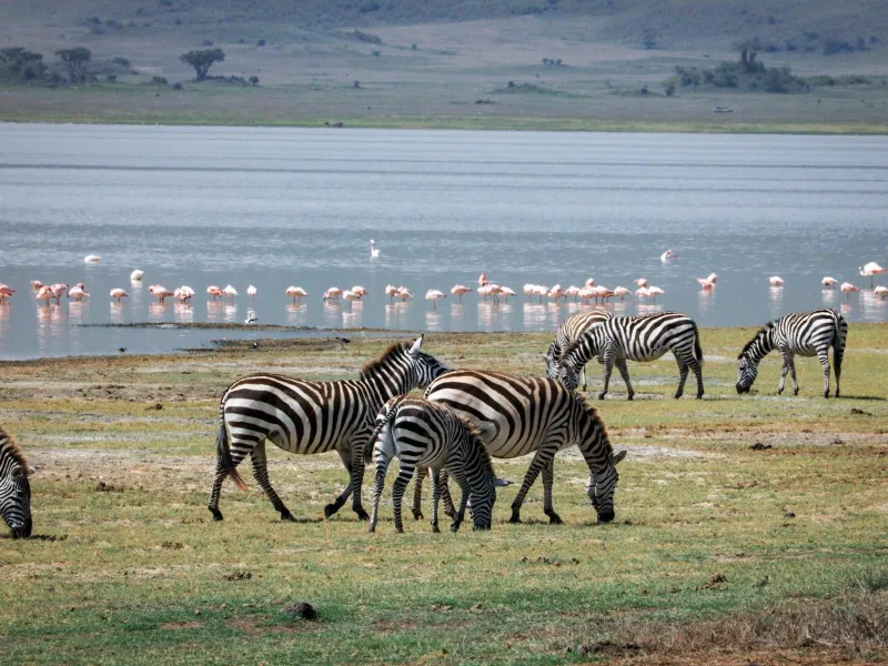Tanzania Lake for a destination guide