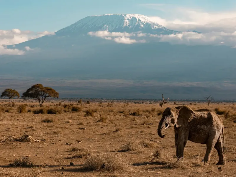 Tanzania National Park for a destination guide