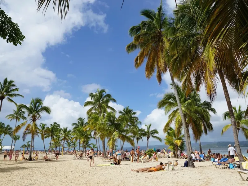 A tropical beach with palm trees and people for a destination guide