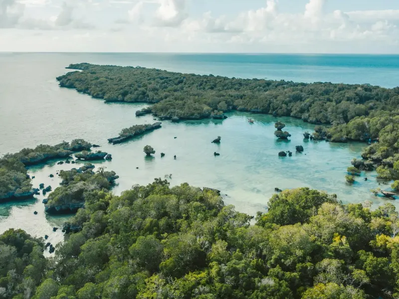 Tropical island lagoon in Zanzibar for a destination guide