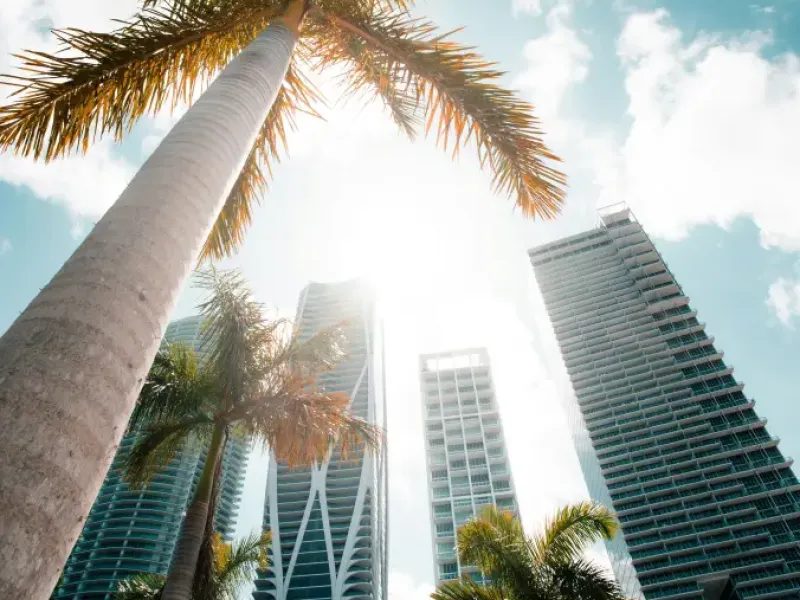 Upward view of tall palm trees and luxury skyscrapers under sunny blue sky in downtown Miami; Florida.