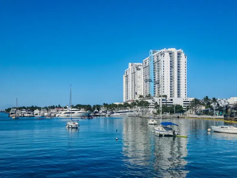 Miami Florida marina with sailboats and yachts anchored on calm blue water; luxury high-rise condominiums and palm trees i
