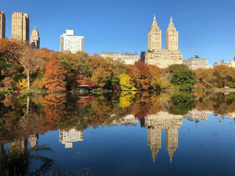 Central Park lake reflecting autumn foliage and Upper West Side skyscrapers in New York New York under a clear blue sky
