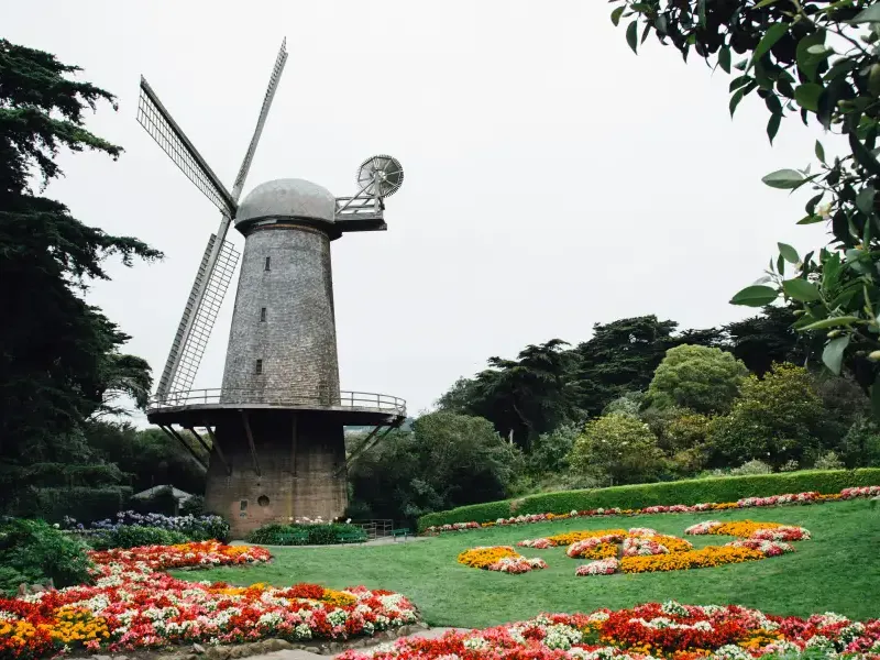 Dutch windmill surrounded by colorful flower gardens in Golden Gate Park; San Francisco; CA; under an overcast sky.