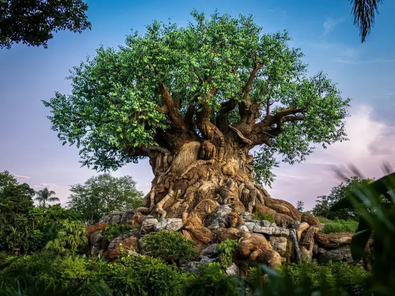 The Tree of Life at Disney's Animal Kingdom in Orlando; FL; featuring intricate animal carvings on its massive sculpted tr