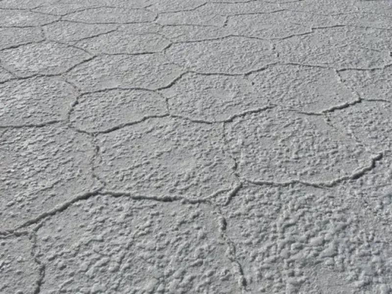 The cracked white crust of a dry salt pan stretching to the horizon.