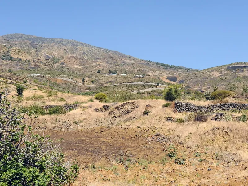 A dry volcanic hillside on Fogo with dry-stone walls and a road climbing towards the caldera.