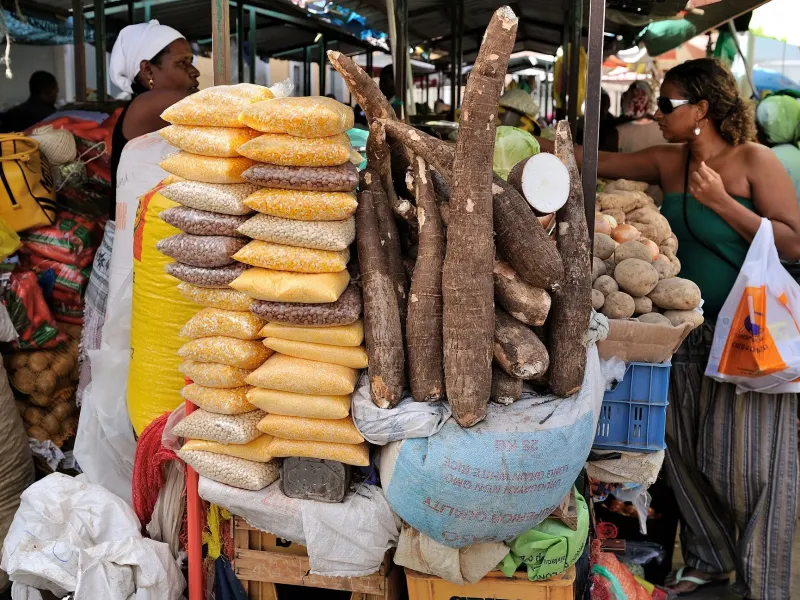 Bagged maize and beans stacked beside cassava roots and potatoes at the municipal market in Praia.