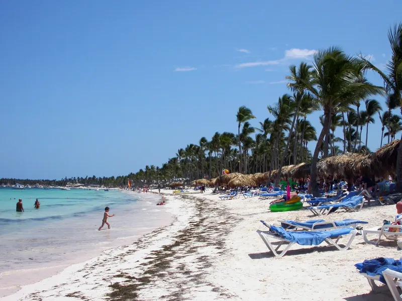 Loungers and thatched shades line a palm-backed beach at Punta Cana, with swimmers in the shallows.