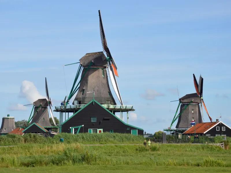Timber windmills and green painted houses at Zaanse Schans in the Netherlands under a blue summer sky