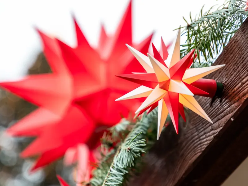 A red and a white Herrnhut star hung against fir branches and dark timber at the Dresden Striezelmarkt.