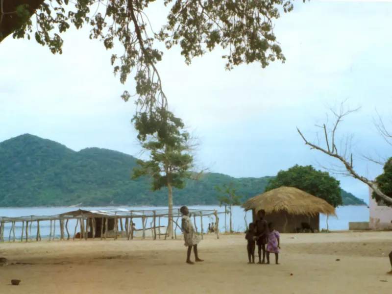 Lake Malawi National Park shore framed by a large tree, a wooden jetty and thatched shelter, forested hills across.