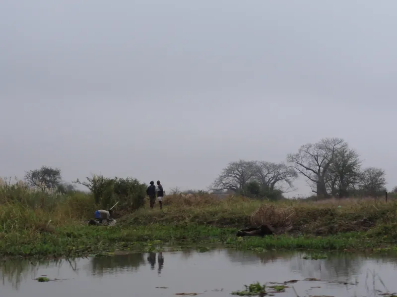 A still river channel fringed with reeds at Liwonde, Malawi, baobabs and scattered trees beyond, two figures at the edge.