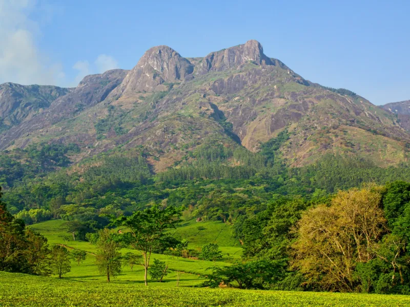 The peaks of Mount Mulanje rising above green tea fields and wooded slopes in southern Malawi under a bright sky.