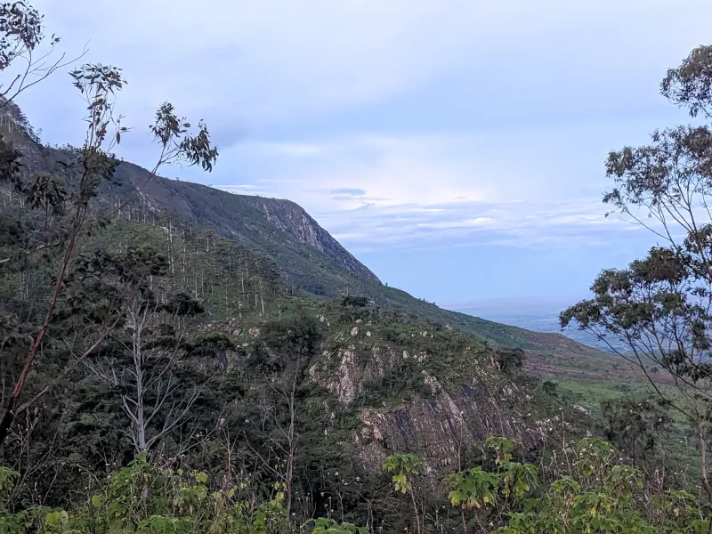 A steep wooded escarpment on the Zomba Plateau in Malawi, with bare branches in the foreground and cloud over the ridge.