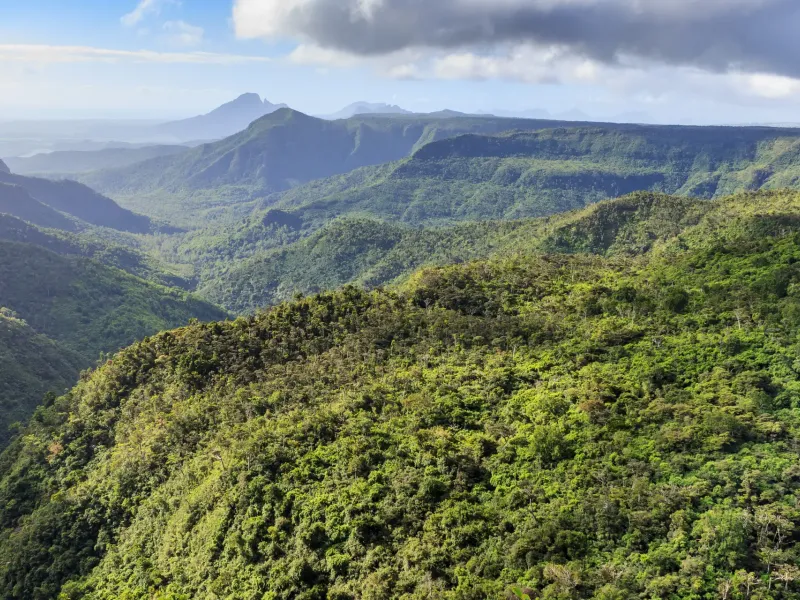 Steep native forest falling away into the gorges of Black River Gorges National Park in southwest Mauritius.
