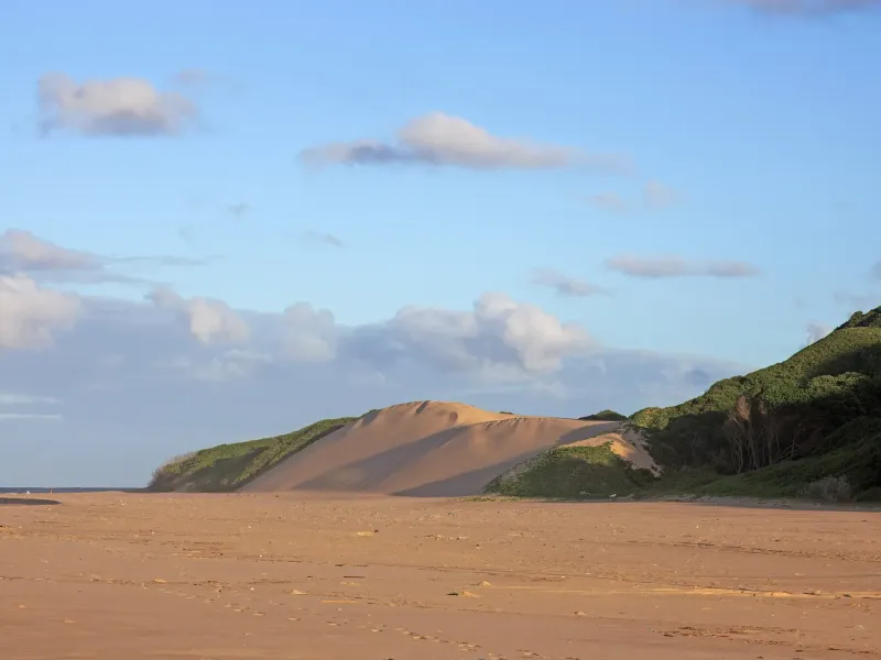 A high vegetated sand dune rising above an empty beach in Maputo National Park, late afternoon light along the shore.