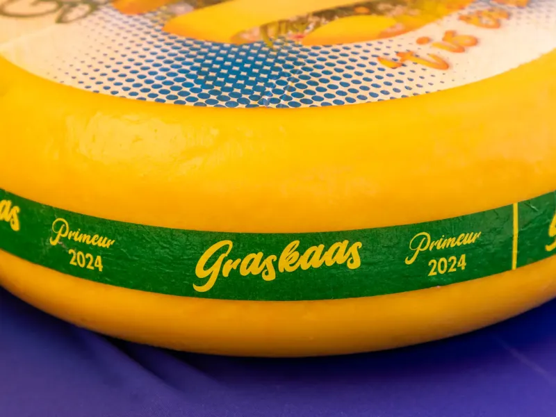 A yellow wax wheel of Dutch graskaas on a market stall, its green band printed in Dutch with the name and the year.