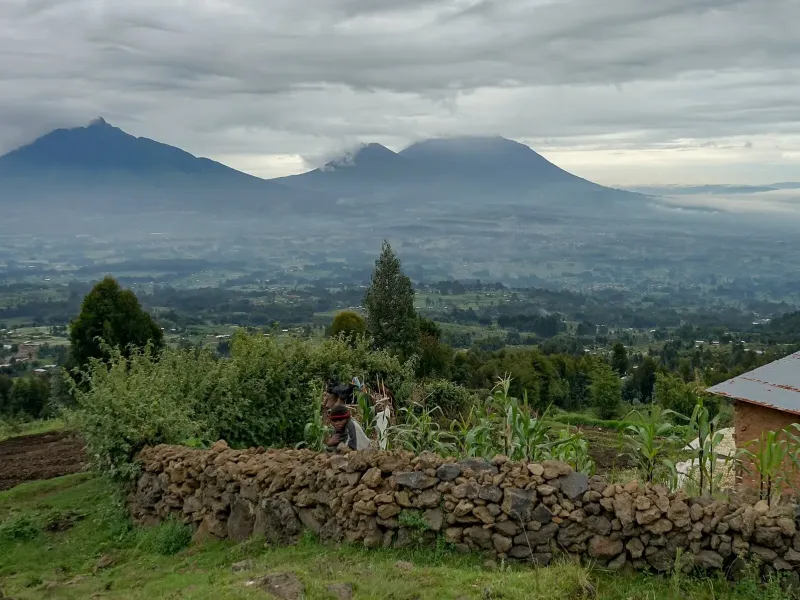 The Virunga volcanoes under cloud above cultivated fields, a lava-rock wall and a tin-roofed house on the edge of Volcanoes National Park, Rwanda.