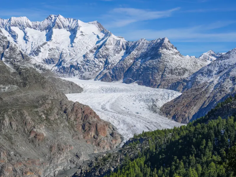 The Aletsch Glacier filling its valley in a long gray-white sweep between snow-covered peaks, with dark forest in front.