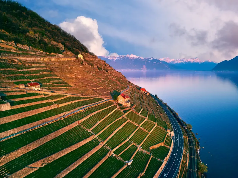 Stone-walled vineyard terraces stepping down the slope to Lake Geneva at Lavaux, with the Alps on the far shore.