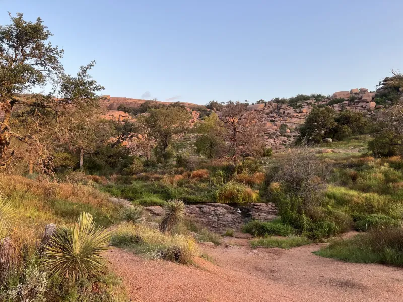 Pink granite boulders and oak scrub along a sandy trail at Enchanted Rock in the Texas Hill Country at sunrise.