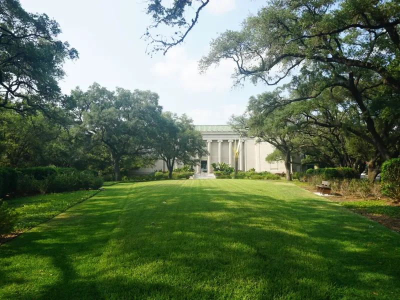 Live oaks shade a long lawn leading to the classical facade of the Museum of Fine Arts in the Houston Museum District.