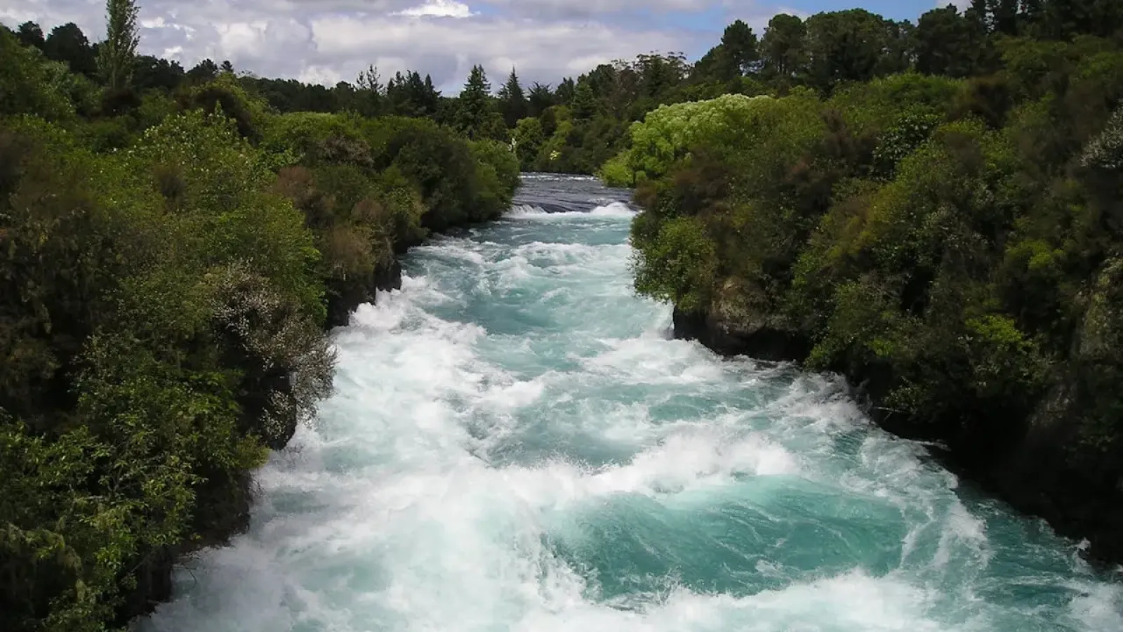 River forest new zealand