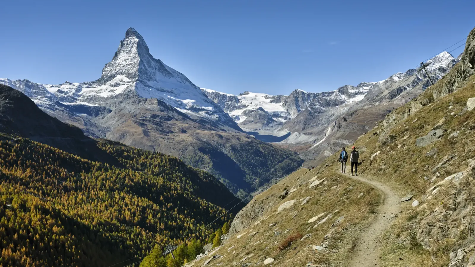 The Matterhorn across a valley of golden larches, with a stony hiking path in the foreground and two walkers on it.
