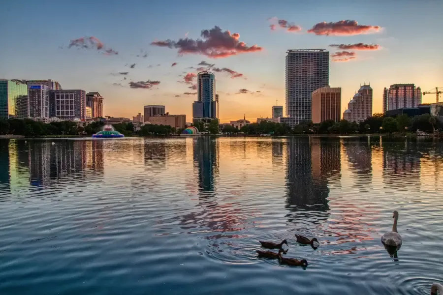 Orlando FL skyline at sunset reflected in Lake Eola; with ducks and a swan in the foreground and a lit fountain.
