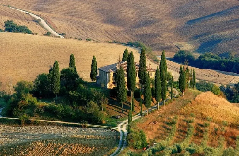 Cypress trees lining a track through rolling Tuscan farmland