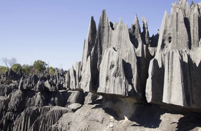 Jagged limestone formations at Tsingy de Bemaraha National Park for a destination guide
