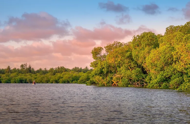 Kenya Landmark for a destination guide