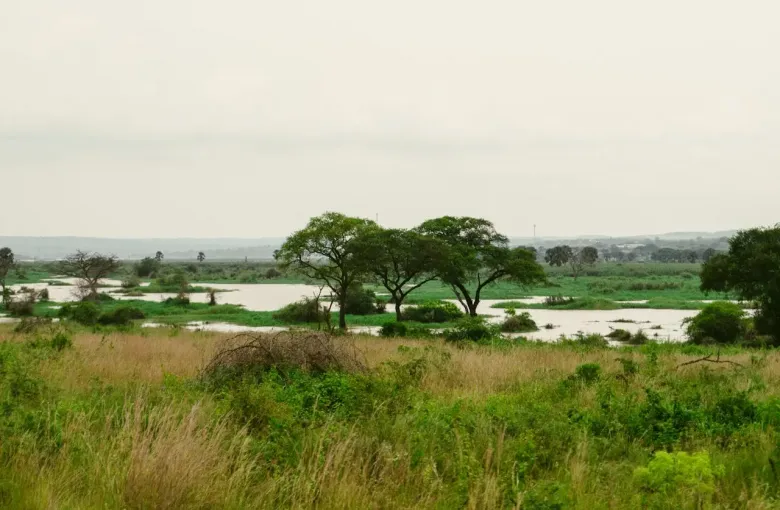 Murchison Falls National Park in Uganda for a destination guide
