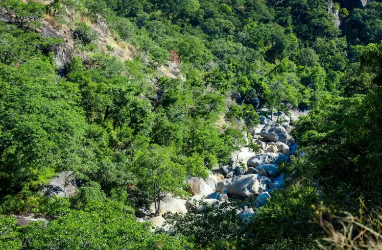 Nyika National Park for a destination guide
