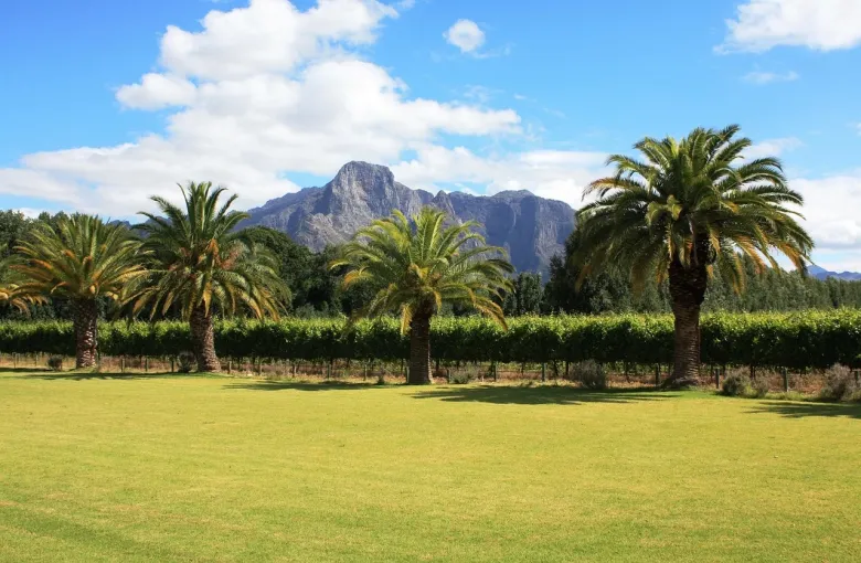 Wineland South Africa for a destination guide