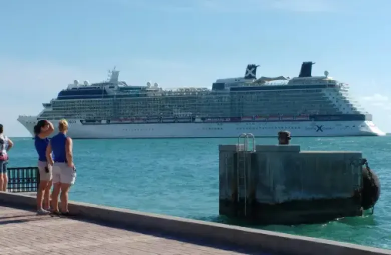 Travelers on a waterfront promenade watch a Celebrity Cruises ship passing through turquoise waters on a clear day.