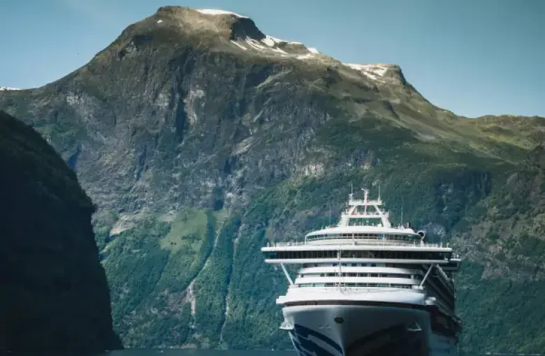 Princess Cruises ship sailing through a dramatic Norwegian fjord with steep green mountains and snow-capped peaks in the b...